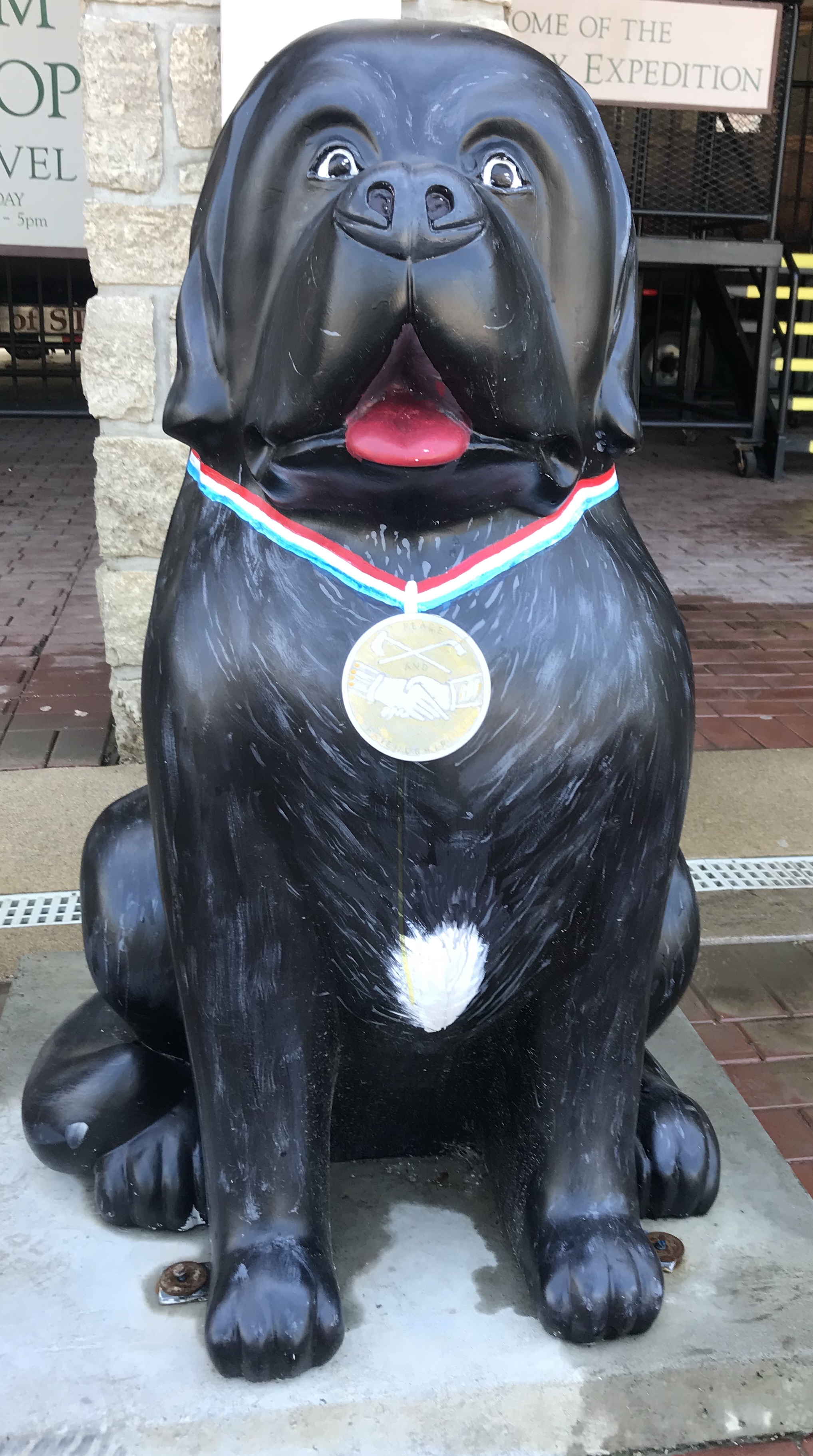 The dogs of St. Charles Aloha Denise